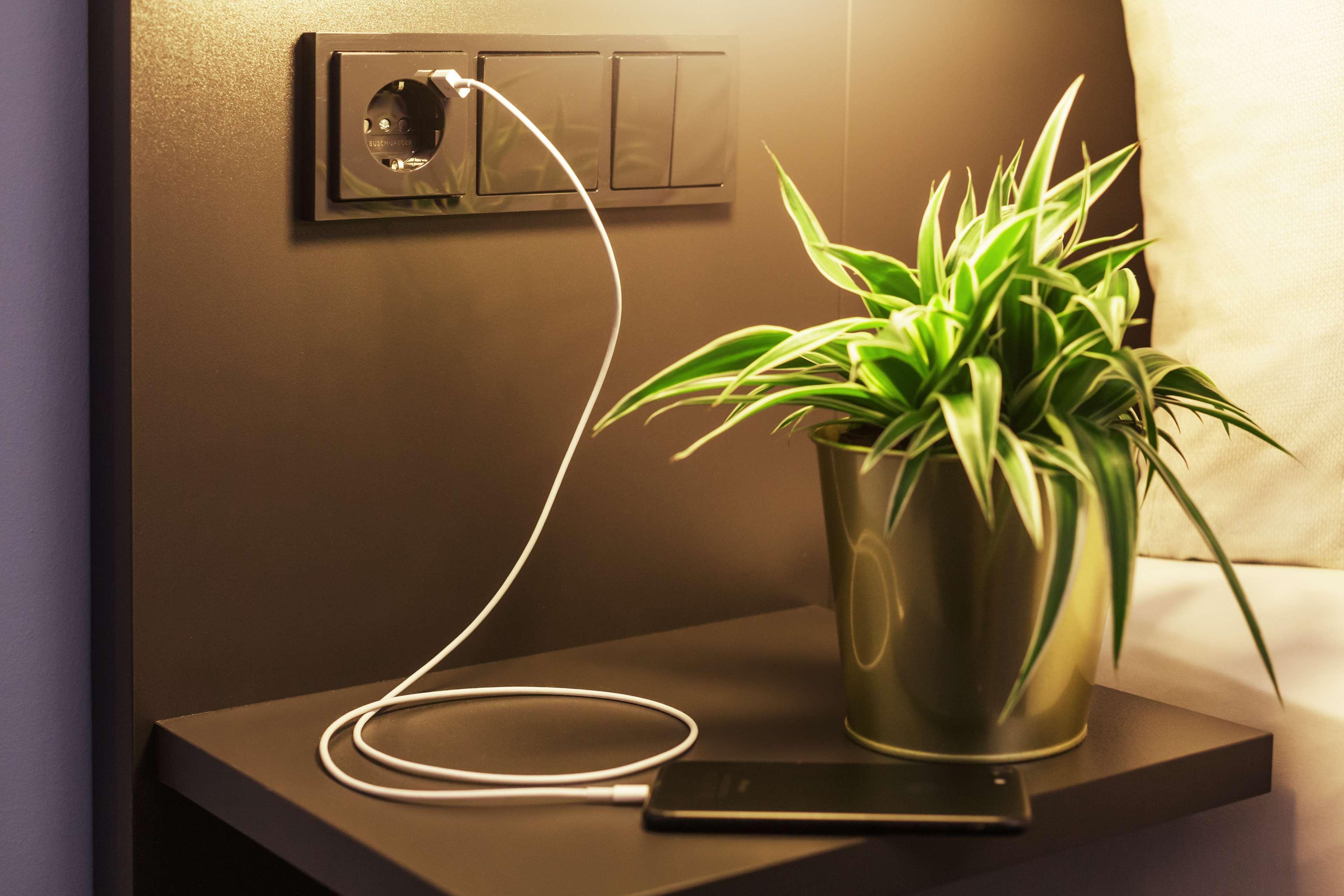 - The Niu, Mood By Ihg Hotel 3*